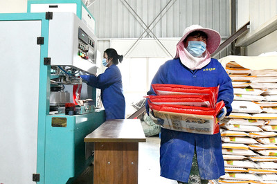 推動(dòng)產(chǎn)業(yè)融合發(fā)展，助力糧食增產(chǎn)增收——糧食加工產(chǎn)業(yè)的戰(zhàn)略路徑