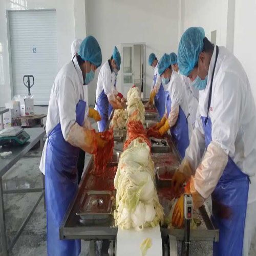 性價(jià)比之選 高效玉米食品加工機(jī)械設(shè)備在糧食加工領(lǐng)域的應(yīng)用