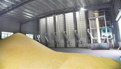 糧食烘干機(jī) 農(nóng)業(yè)機(jī)械行業(yè)的下一個(gè)萬億級(jí)藍(lán)海